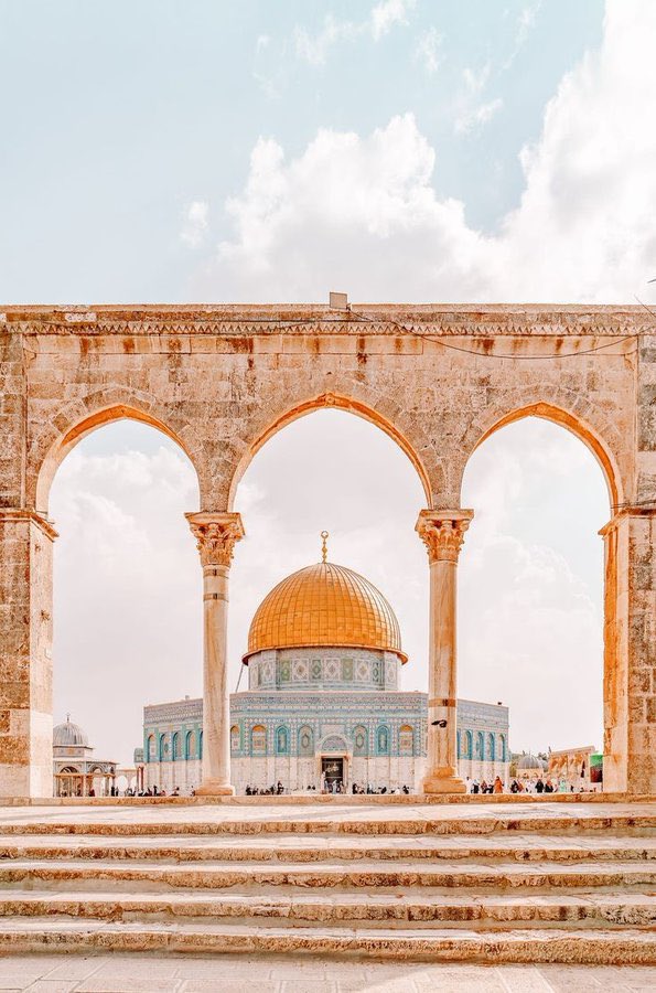 alsayg's tweet photo. تستطيع أن تنصر قضية #بيت_المقدس دون أن تنزلق لغمز بلد بحجم ورمزية #المملكة_العربية_السعودية 
لن ينسَ عليلٌ بزهايمر أن قضية #فلسطين هى القضية الأولى لـ #السعودية حكومةً وشعباً كانت ولا تزال
فغمزها لا ينتفع به  #المسجد_الاقصى ولا يفكّ حصار الركع فيه والسجود ، ولا يضر المعتدين
تنبه https://t.co/bSq6G2fJpn
