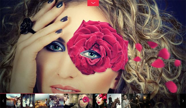 VinobaSunil's tweet photo. Fullpane Wordpress Theme
#Fullpane #FullpageWordpress #WordpressThemes #WPFullpane #PremiumWordpress #BlogWordpress #VerticalscrollThemes #PortfolioThemes #CreativeAgencyThemes #PhotographyThemes
@ https://t.co/Zy0g7VbNnx https://t.co/FDgYvNgusq