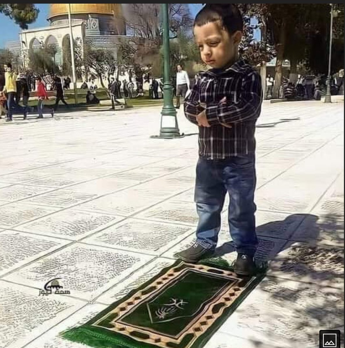 یہ شیرو کی زمین ہے جسے فلسطین کہتے ہیں
یہ بنجر ہو کر بھی کبھی بزدل پیدا نہیں کرتی❤✌
#WeStandWithPalestine