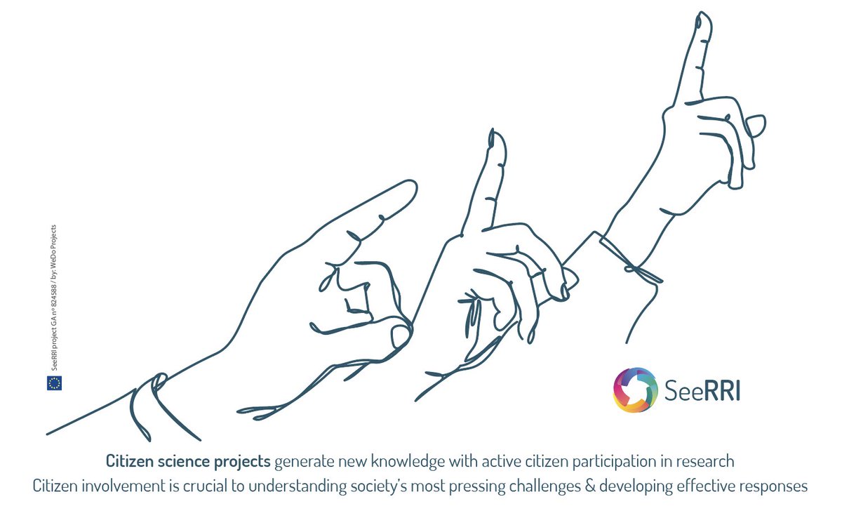 Kaleidos Project tweet media