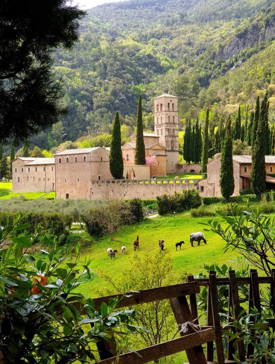 Un luogo tutto da scoprire, dove respirare i profumi della natura incontaminata.. Abbazia San Pietro in Valle a Ferentillo...

<a href="/valnerinaonline/">Valnerina On Line</a> <a href="/valnerinalive/">Valnerina Live</a> <a href="/la_valnerina/">Click in Valnerina</a> <a href="/MeravigliosaU/">Meravigliosa Umbria</a> <a href="/igersumbria/">Instagramers Umbria</a>