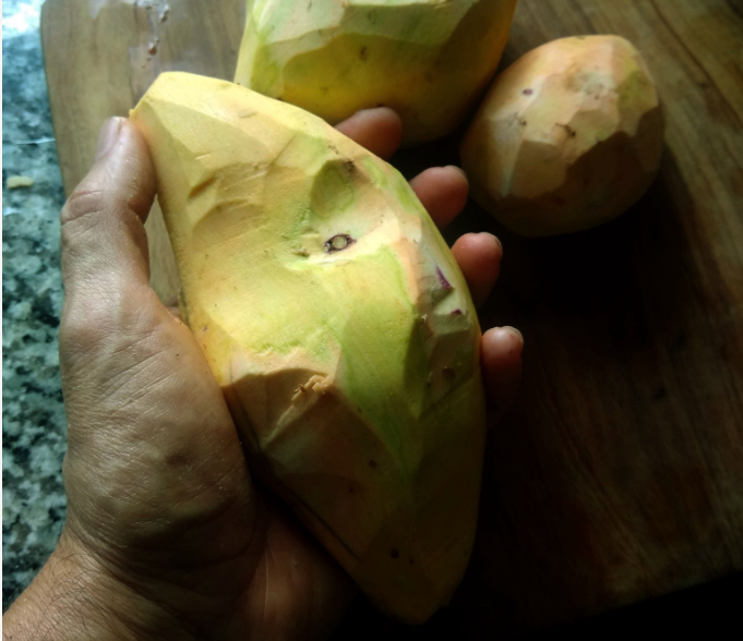 manduqueOK's tweet photo. La batata (camote, boniato) puede presentar partes verdes o azuladas en su interior. Esto puede ocurrir más allá de que la batata esté brotada o no, e incluso por fuera se pueden ver "normales", con sus colores característicos. ¿Se puede comer igual? Abro hilo. https://t.co/oGge5Uk0Xn