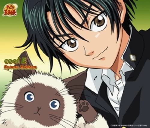 越前リョーマ アルカナ A60 コトブキヤ ARTFX J テニスの王子様 越前リョーマ / 白石蔵ノ介