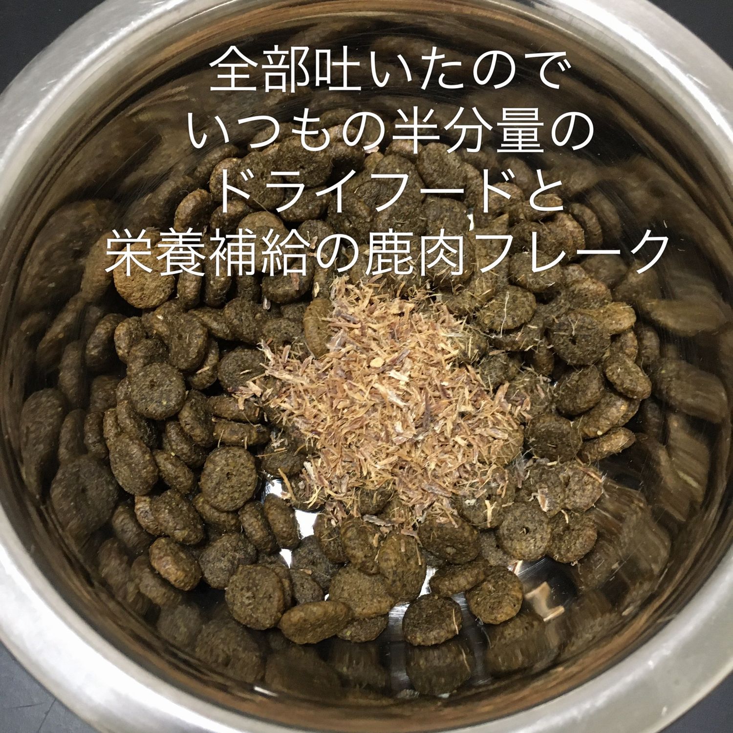 Ketk カイト君 お腹がすいていると思われるので このままだと朝方 白い泡か黄色い液体を吐く 空腹でね と予想されるため 夜食準備しました 犬の夜食 嘔吐後のおじや 心配 ビオフェルミンは犬用常備薬 犬バカ T Co Dyve6sc0vi Twitter