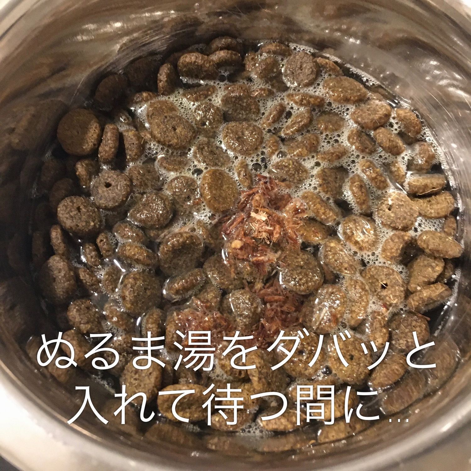 Ketk カイト君 お腹がすいていると思われるので このままだと朝方 白い泡か黄色い液体を吐く 空腹でね と予想されるため 夜食準備しました 犬の夜食 嘔吐後のおじや 心配 ビオフェルミンは犬用常備薬 犬バカ T Co Dyve6sc0vi Twitter