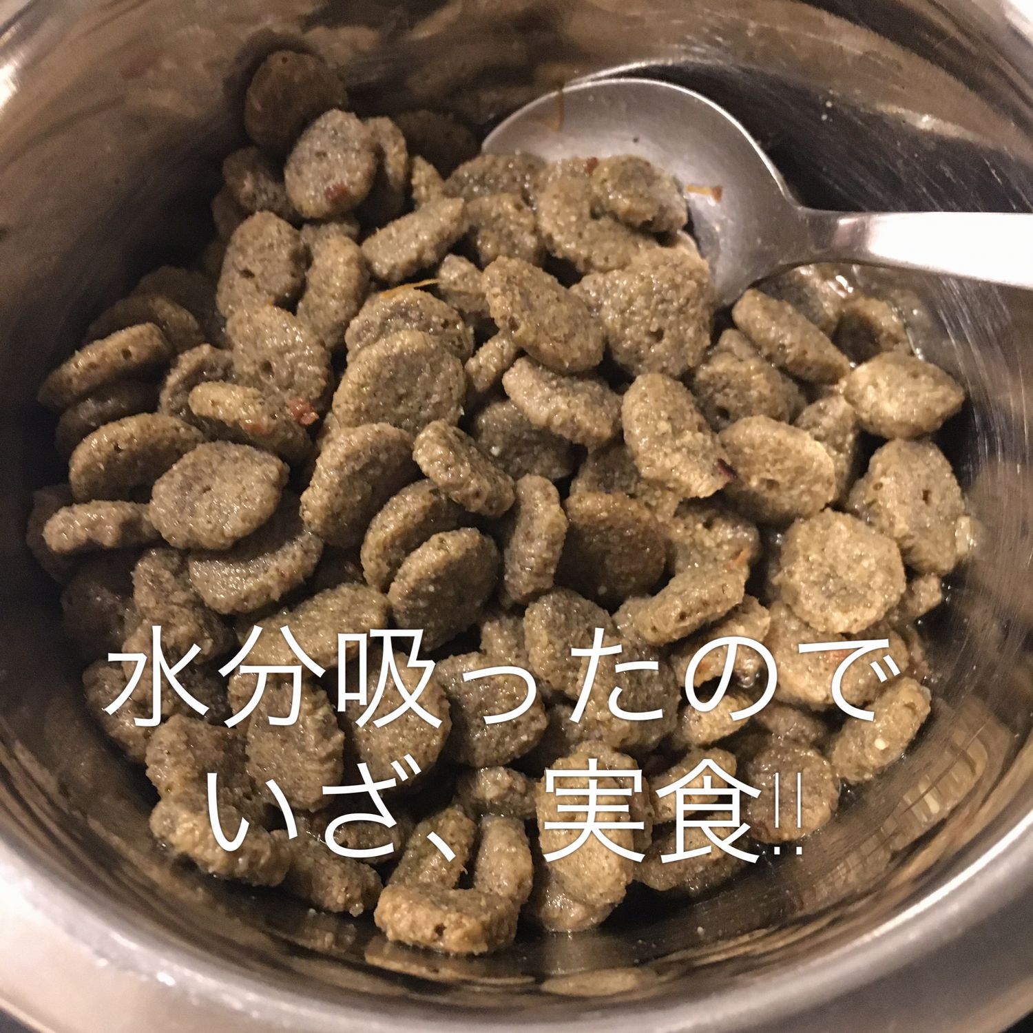 Ketk カイト君 お腹がすいていると思われるので このままだと朝方 白い泡か黄色い液体を吐く 空腹でね と予想されるため 夜食準備しました 犬の夜食 嘔吐後のおじや 心配 ビオフェルミンは犬用常備薬 犬バカ T Co Dyve6sc0vi Twitter