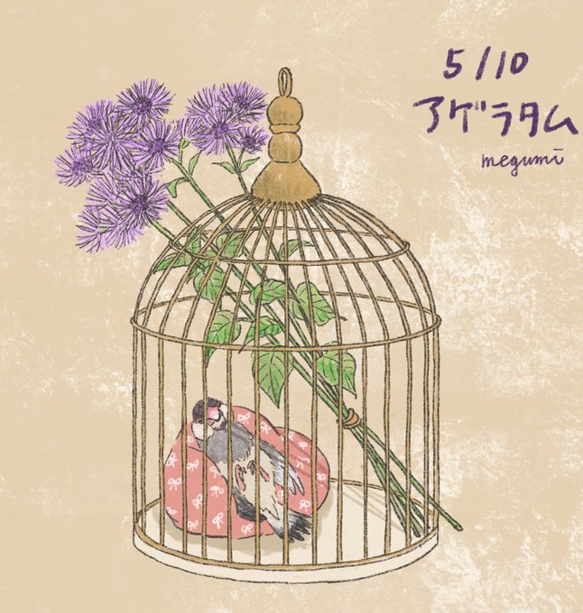 花言葉 高画質 のtwitterイラスト検索結果 古い順 花言葉 高画質 のtwitterイラスト検索結果 古い順