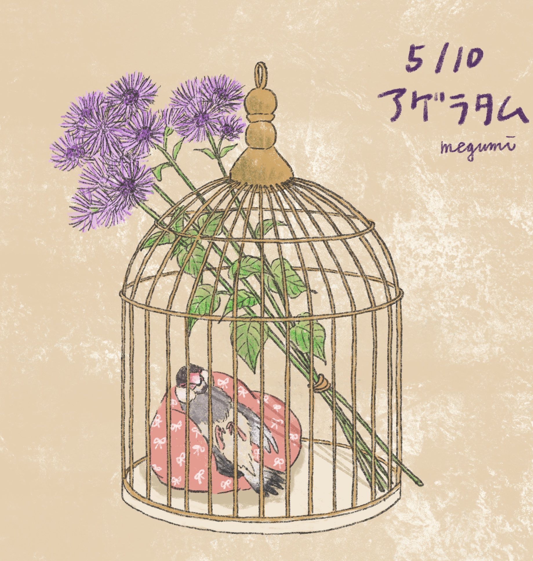 いしかわめぐみ 5 10の誕生花はアゲラタムです 花言葉は安楽 文鳥 Javasparrow 誕生花 動物イラスト 花イラスト 植物イラスト 絵本 挿絵 可愛いイラスト カットイラスト Artwork アートワーク シンプルイラスト 鳥イラスト イラスト好き