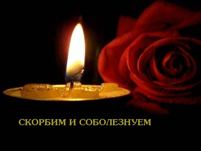 От имени всего коллектива детского сада, которым я руковожу, МДОУ 11 "Радость", и от себя лично выражаю самые глубокие соболезнования семьям, родным и близким погибших в результате стрельбы в школе №175 Казани. 

#ДепутатМоисеенко #Подмосковье #Дмитров #Казань