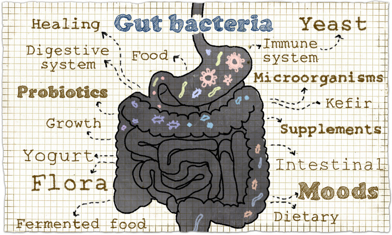 "Enjoy fermented foods with live bacteria!"
Great post by <a href="/nutritionjill/">Jill Weisenberger</a> who shares her perspective as a nutrition expert on gut bacteria and things we can do for them through our diet 👇
jillweisenberger.com/feed-healthy-g…