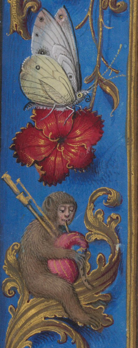 BLMedieval's tweet photo. Monkeys playing bagpipes in medieval manuscripts.

There's really nothing to see here, nothing at all. It's not really a thing. Not sure why we're even interested.

Add MS 18851, f. 412v
Harley MS 2887, f. 29r
https://t.co/sv07l8iMUN
https://t.co/ZufzjEhSBG https://t.co/zqO9q15l1Y