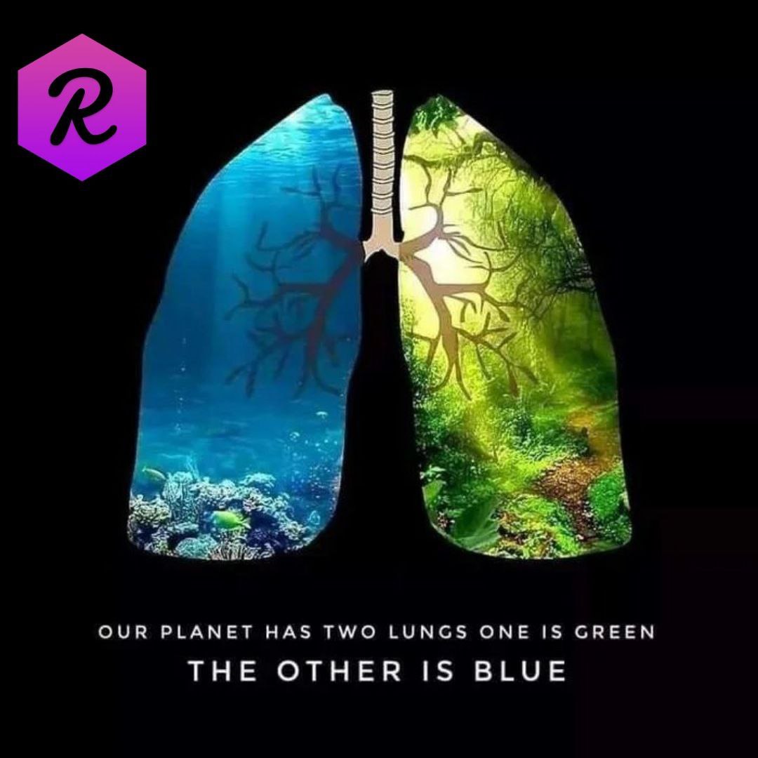 droopy_kat's tweet photo. @ReefDeFi @DafiProtocol @denkomancheski In $REEF I believe!
And you?
#ReefFinance #REEFMAINNETSOON #ReefKingOfDefi #reef #reefVISACard #reefchain #cryptocurrency #cryptosphere #BTC https://t.co/53jI4N0rKl