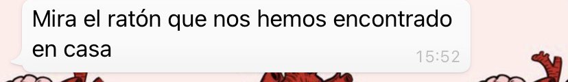 Cristinina_97's tweet photo. Cuando recibes el mensaje // Cuando lo abres https://t.co/vxozPKwG7B
