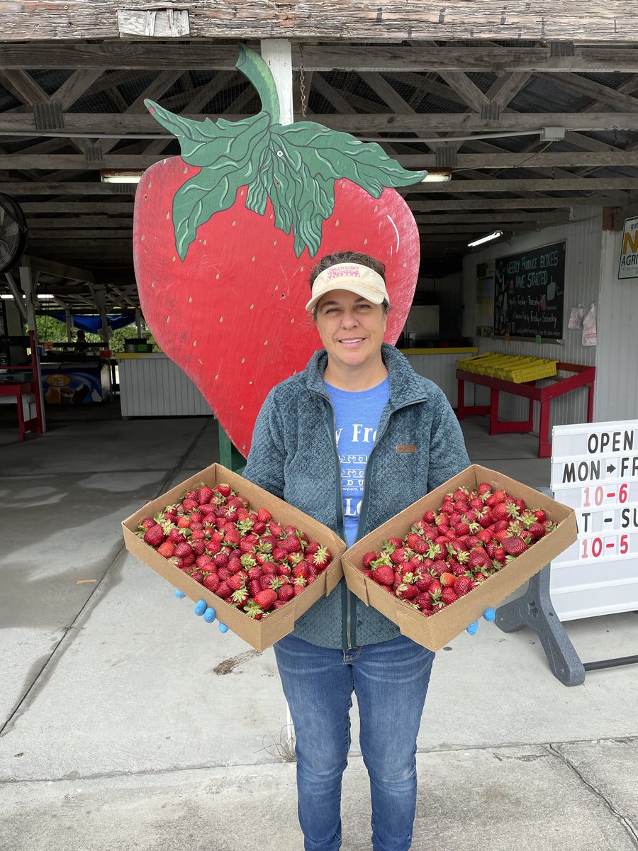 LauraBischoff89's tweet image. A huge shout out of thanks to Garner Farms in Newport, NC for donating strawberries for use this week - Illumina, Inc. will be hosting a live Strawberry DNA Extraction &amp;amp; Career Chat Event for students. ⁦@TheCreekBCMS⁩ ⁦@CarteretK12⁩ ⁦@AllisonCTE⁩ ⁦@illumina