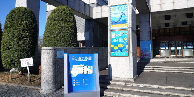 恋はdeepに 星ヶ浜水族館のロケ地はどこ 撮影場所は2ヶ所だった ペンギンままの気になるブログ