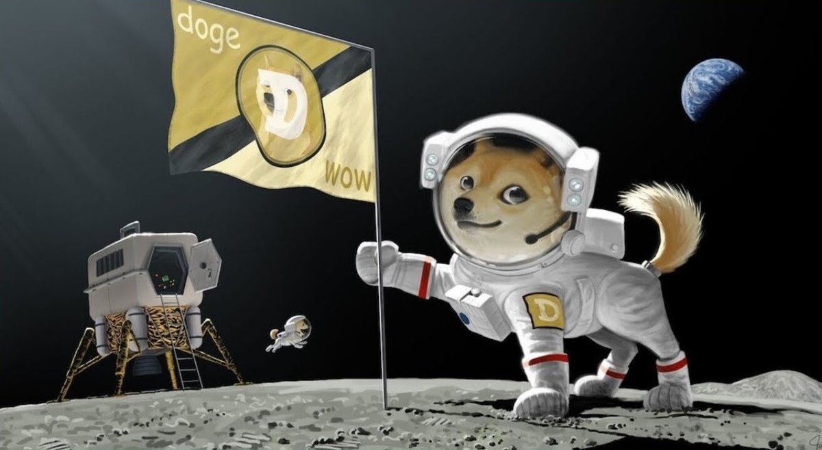 oscarmonterogo2's tweet photo. See you on the Moon

#dogecoin
#doge 
#tesla 
#spacex 
#toothemoonandback https://t.co/cGnKixcG9u