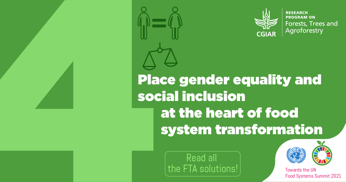 FTA_Partnership's tweet image. #GameChangingSolution #ForTheFuture of @FoodSystems # 4️⃣: Place gender equality🚻 &amp;amp; social inclusion✊ at the heart❤️ of food system transformation

These are the integral foundation for achieving sustainable food systems and all related #SDGs.

Read more: foreststreesagroforestry.org/11-game-changi…