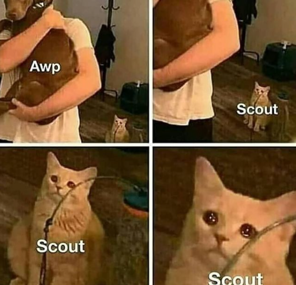 FlashStoreskins's tweet photo. Marca aí seu amigo sniper que nunca joga de scout 😂😂😂 https://t.co/FmPArI4QZb