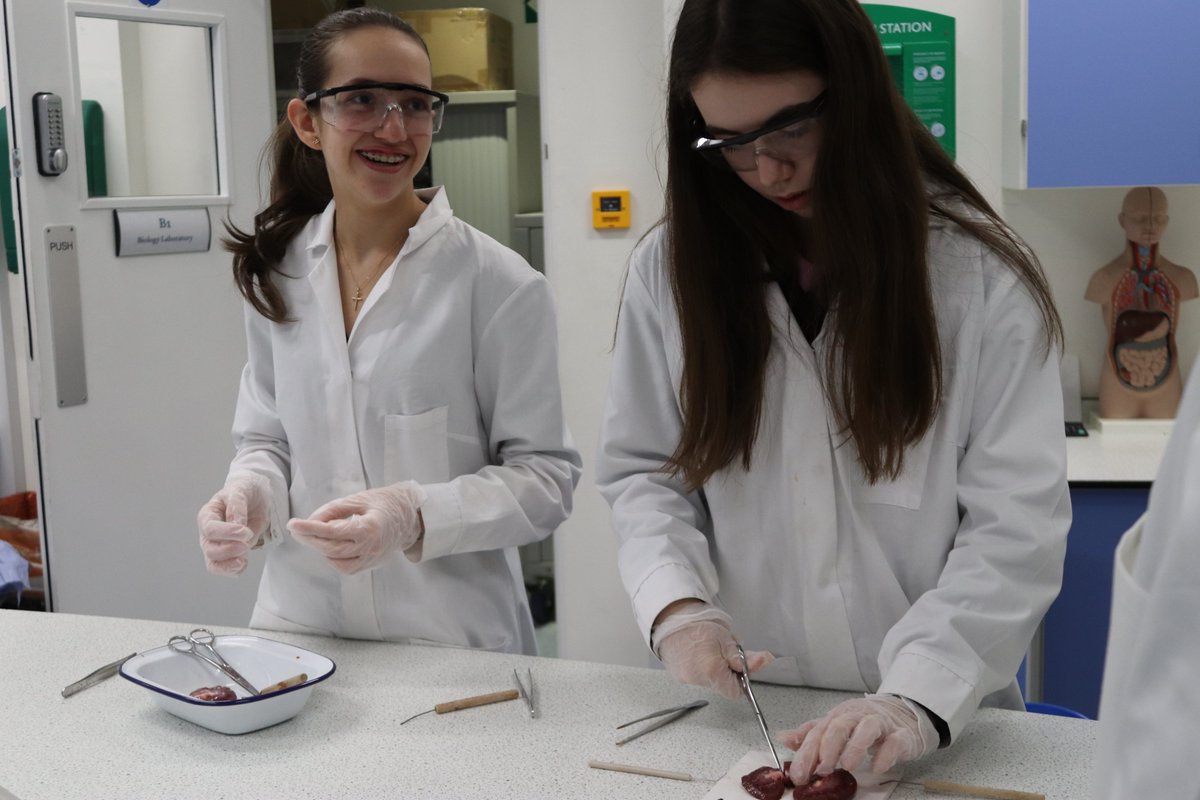 QG_Science's tweet photo. 👩‍⚕️ What better way to spend a Wednesday morning than getting stuck in with a kidney dissection? Our Year 10 Biologists got to grips with the renal system by examining kidneys in their lesson today🥼

#QGSTEM #QGSeniors #STEMeducation #WomenInSTEM #GCSEs2021 #WednesdayMotivation https://t.co/RXfbBJKvo3