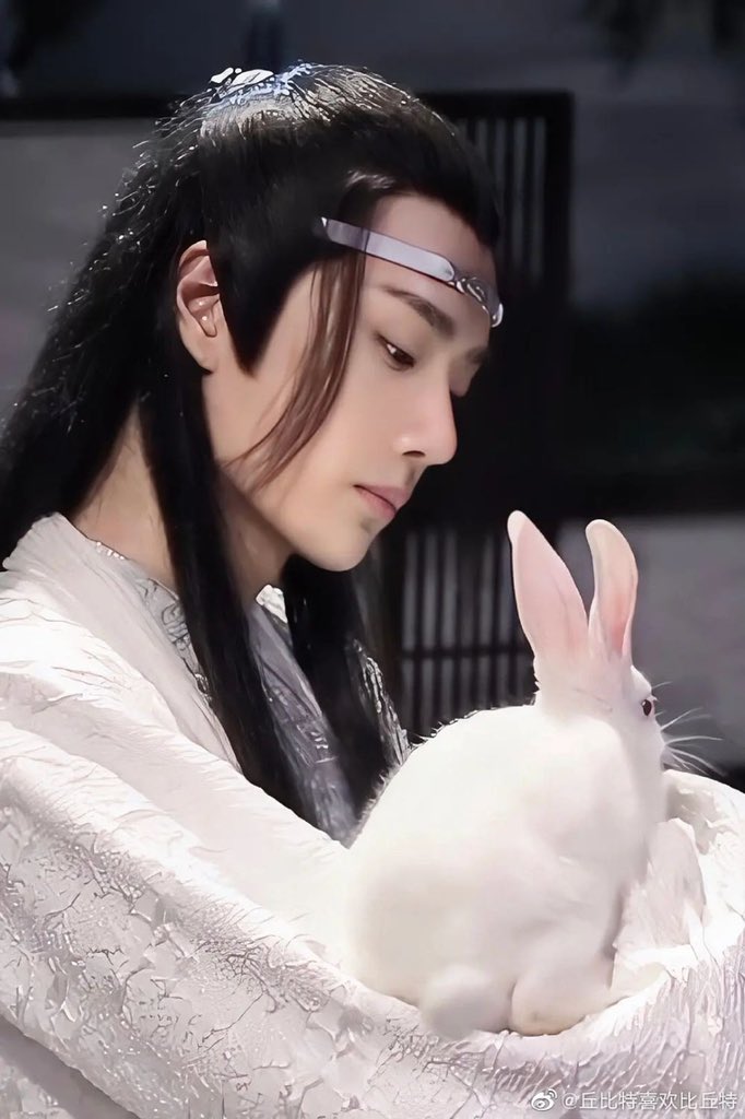 陳情令 藍湛 王一博