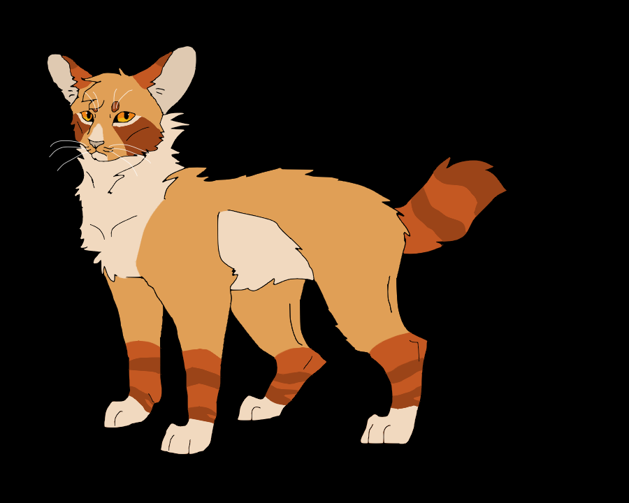 BrambsOnFire's tweet photo. Finleap design that I constantly had to adjust with colors and markings because oh boy can they clash.
#finleap #warriorcats https://t.co/gfQWf7AK72