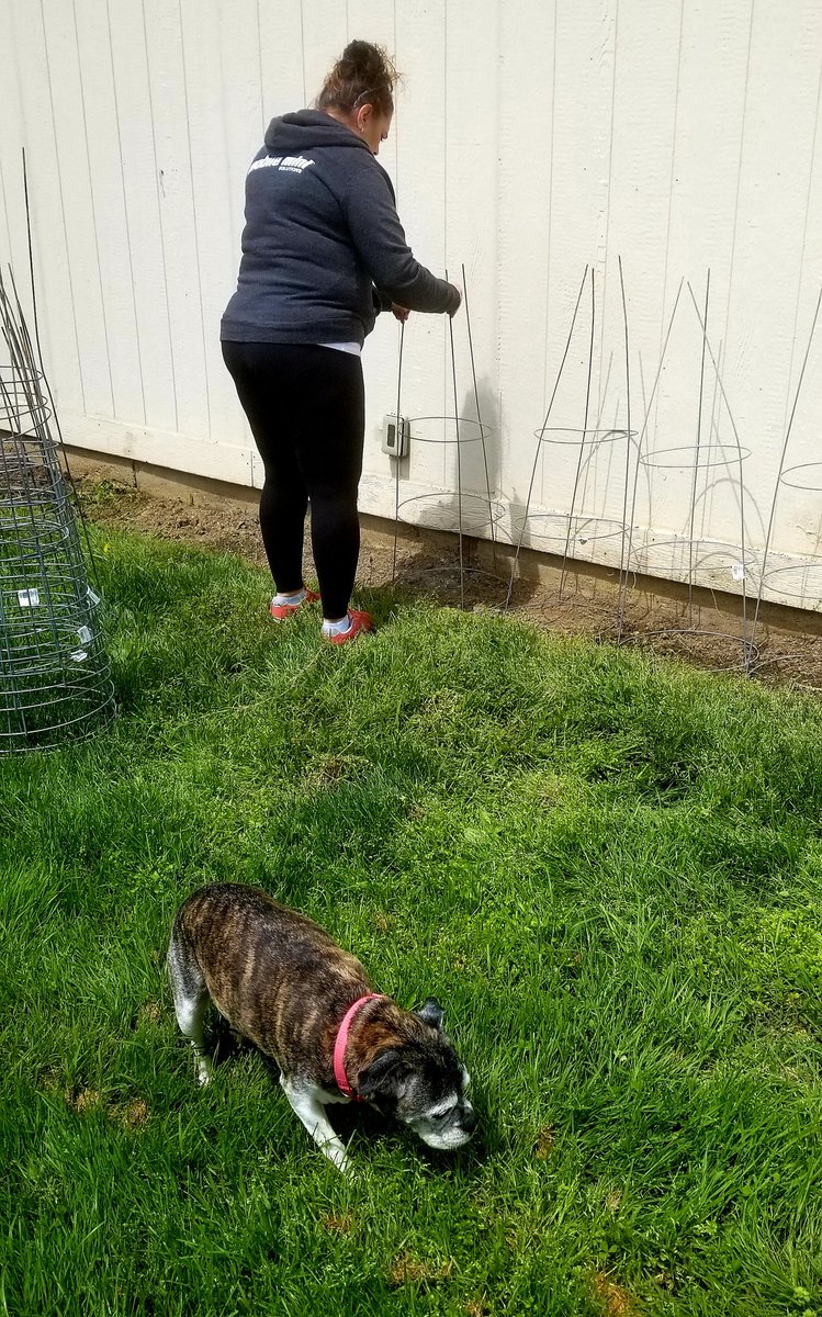 Time to start the veggies