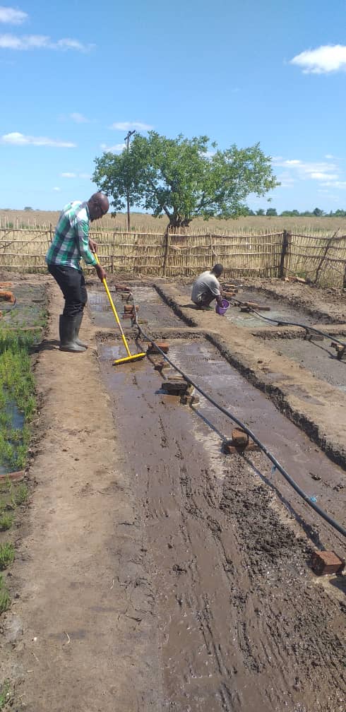 Challenges_MW's tweet photo. Demostrating the sowing of salicornia seeds in a trial garden at Chanona aquaculture farm (Chikwawa District), under the Saline Agriculture for Climate Adaption in Malawi Project ( SACA).
#sacamalawi #challenges_mw https://t.co/FFNXMHou5C