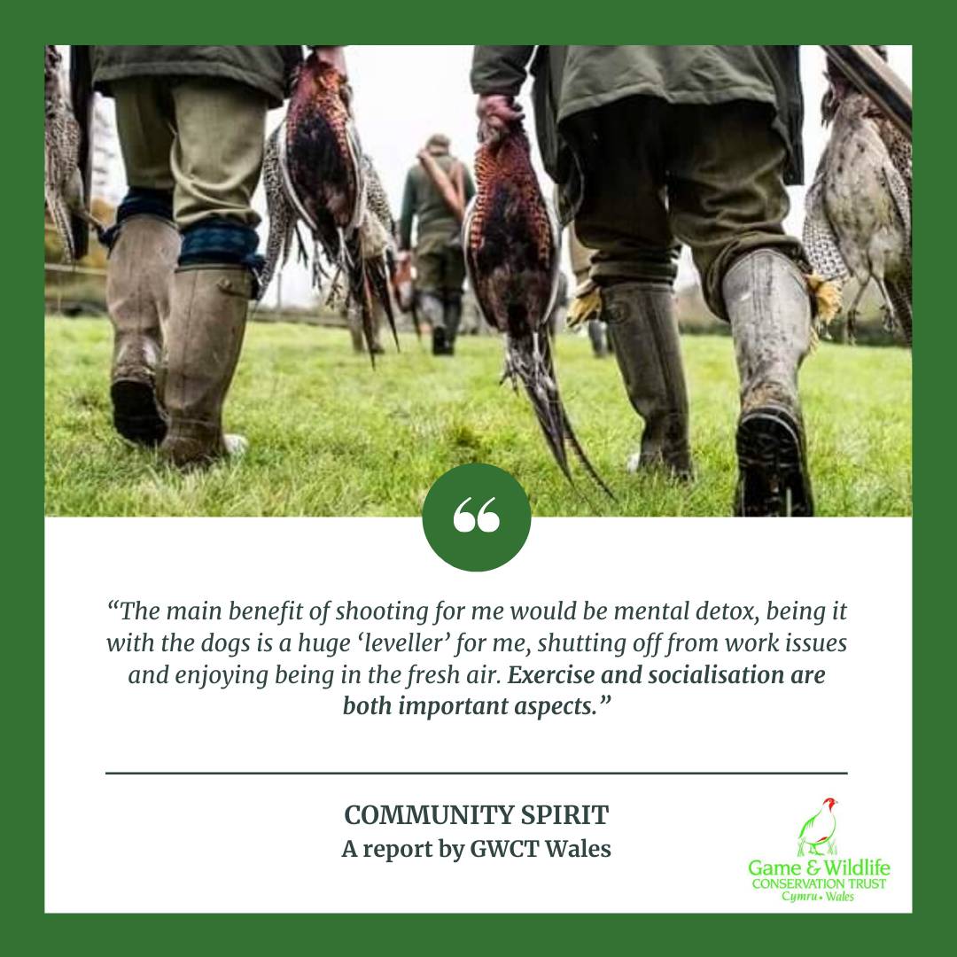 GwctWales's tweet photo. 🏴󠁧󠁢󠁷󠁬󠁳󠁿 Shooting provides socialisation 🏴󠁧󠁢󠁷󠁬󠁳󠁿
On #mentalhealthawarenessweek we are sharing testimonials from "Community Spirit" report, showing how game shooting &amp; activities associated with it have a highly positive effect on the mental &amp; physical health of participants
@Gameandwildlife https://t.co/Y3nobIq5it