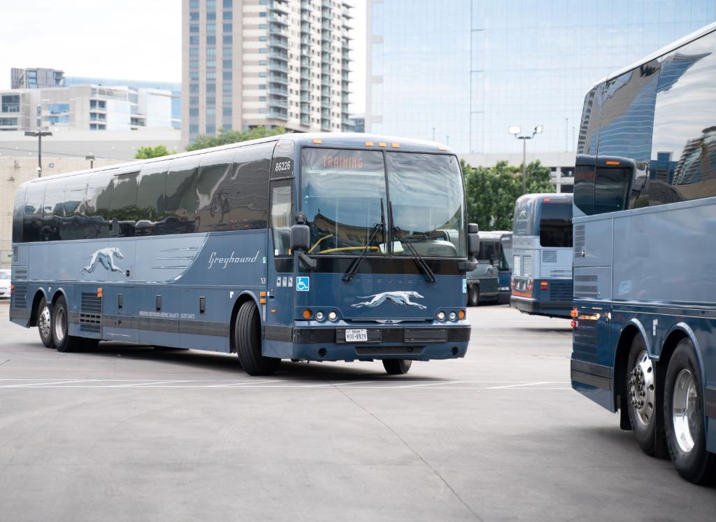 Greyhound Bus on Twitter "Just bussin' around town. Where to next?…