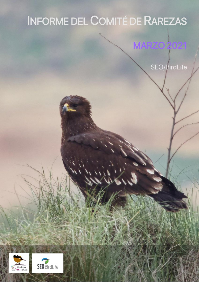 🙌Ya puedes consultar el nuevo informe de rarezas  
<a href="/CR_SEO/">CR-SEO/BirdLife</a> #marzo
Echa un vistazo a los 👾 del último mes👇
seo.org/wp-content/upl…