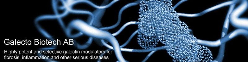 @galectobiotech presenting at the <a href="/BankofAmerica/">Bank of America</a>  2021 #healthcare conference. Feel free to listen in: veracast.com/webcasts/bofa/…