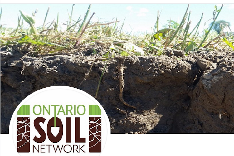 The Grower tweet media