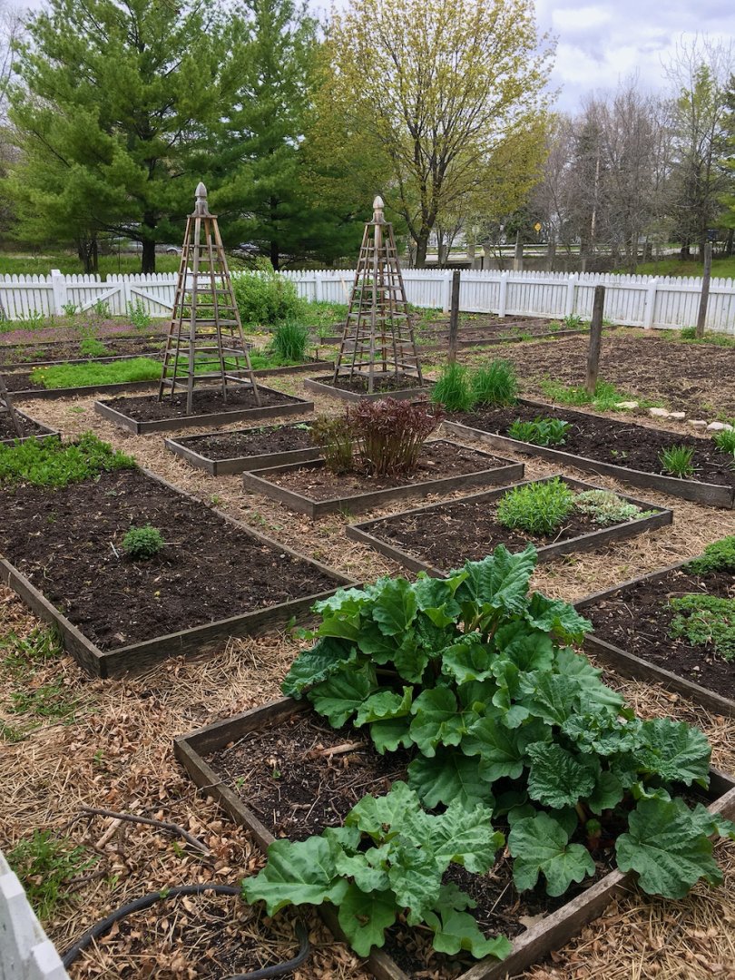 Tank Garden is looking terrific this year, but it didn't happen by accident. Grateful to the Brown County Master Gardeners who have been weeding, planning and planting this season! Check out what is growing on this summer!

#Garden #TankGarden #MasterGardeners #ThankYou