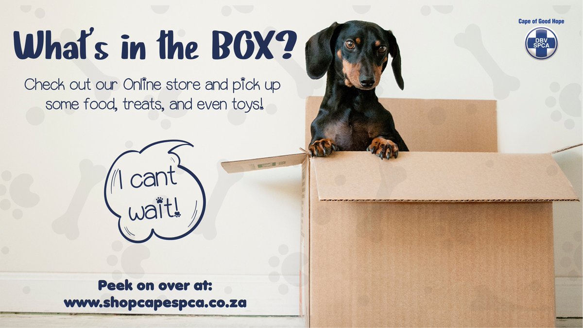 capespca's tweet photo. Our Online Store is Live!
Order toys, treats, food, and even health products to make sure your fur-baby is all set for winter!
Buy your box full of goodies at https://t.co/jRdCEhzaFs
Spend R200 or more and get FREE gifts!
#onlineshopping #animalwelfare #freetoshop #capespca https://t.co/7eTCNdfnFK
