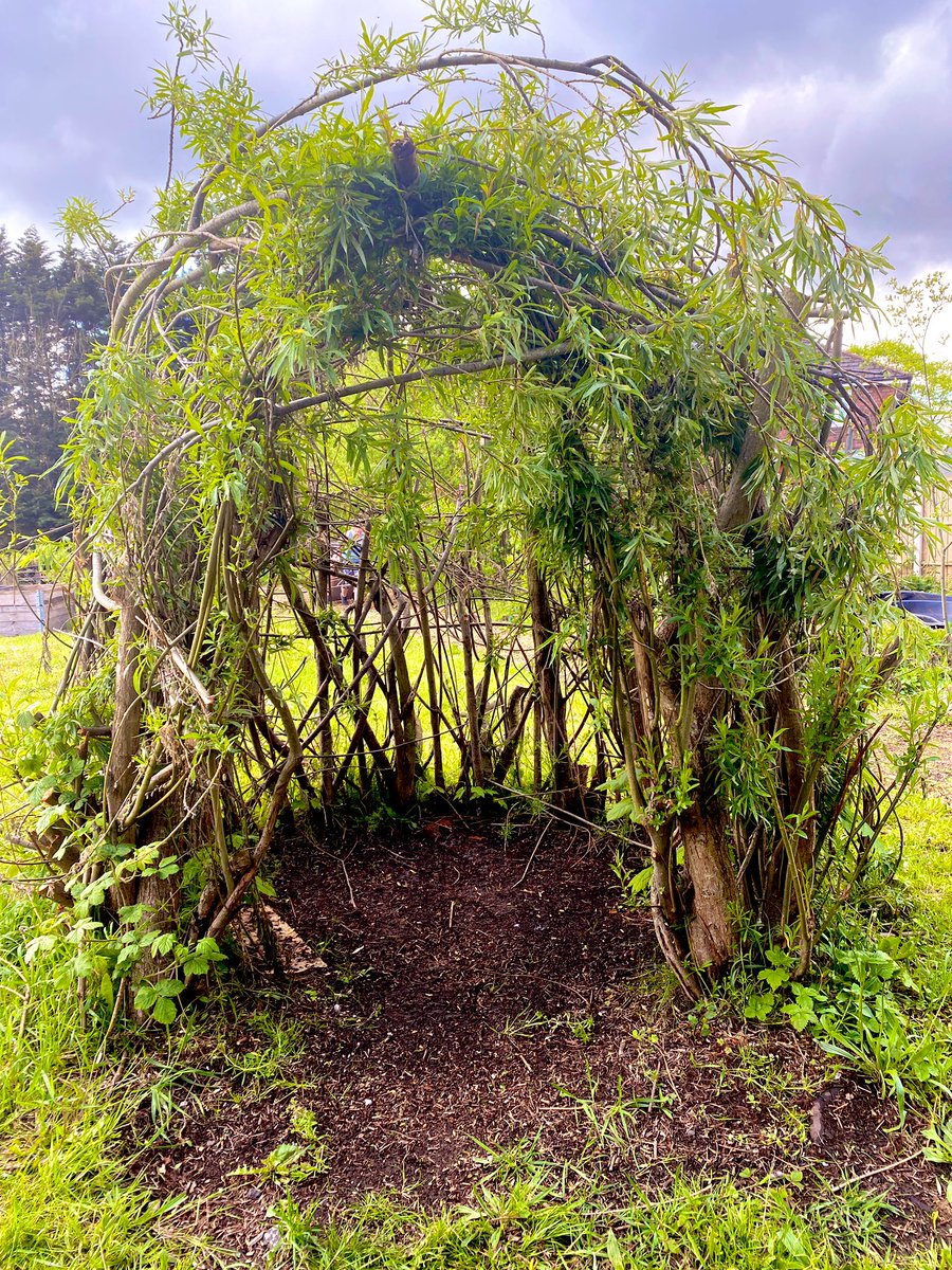 Kate Groucutt (@kategroucutt) on Twitter photo We’re looking for a business to donate a container to a new community project in Parr.
<a href="/AvenueSexton/">Sexton Avenue Community Allotment Garden</a> community garden was hit by an arson attack last week.
They need it to carry on their work with local groups & the community.
Do you know anyone who can help? 🙏 We’re looking for a business to donate a container to a new community project in Parr.
<a href="/AvenueSexton/">Sexton Avenue Community Allotment Garden</a> community garden was hit by an arson attack last week.
They need it to carry on their work with local groups & the community.
Do you know anyone who can help? 🙏