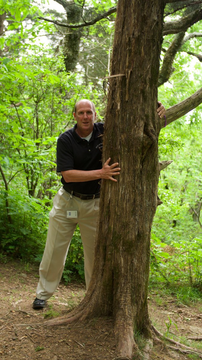 LandTrustNAL's tweet photo. Mayor Finley @MadisonAlabama visited our tree of the month at Rainbow Mountain! Explore #landtrustnal nature preserves and #hugatreelt, share your photo or selfie. Win a fun prize if you visit and share all 9 featured trees by Dec 31! 💚🌳 Get started at https://t.co/fBSx9SMCNT https://t.co/yq6NyWsEeU