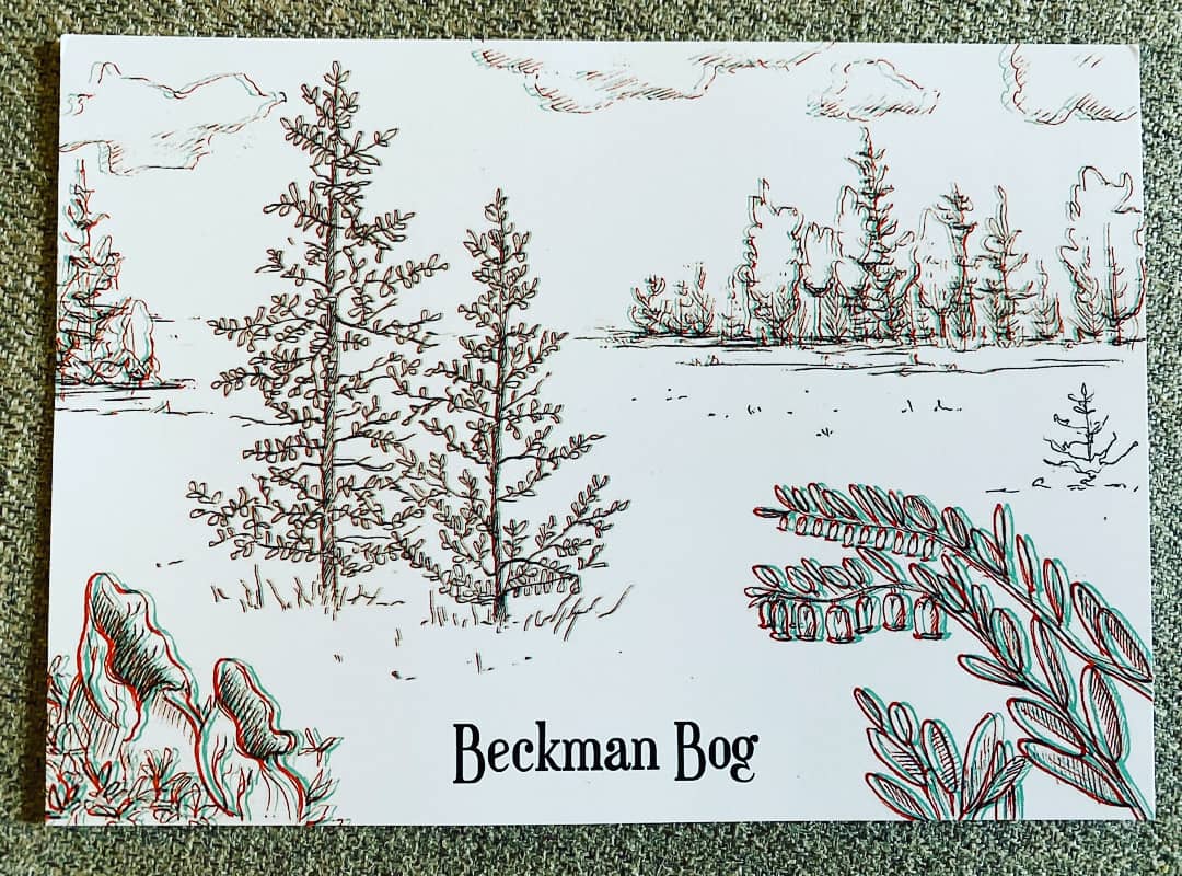 ErikaZambello's tweet photo. Wow! This artist-in-residence program at the @CedarCreekESR is so cool. They are sending #postcards inspired by the site, and this one is 3D! Cedar Creek is part of the @USLTER system. https://t.co/VtI6xuuPsB