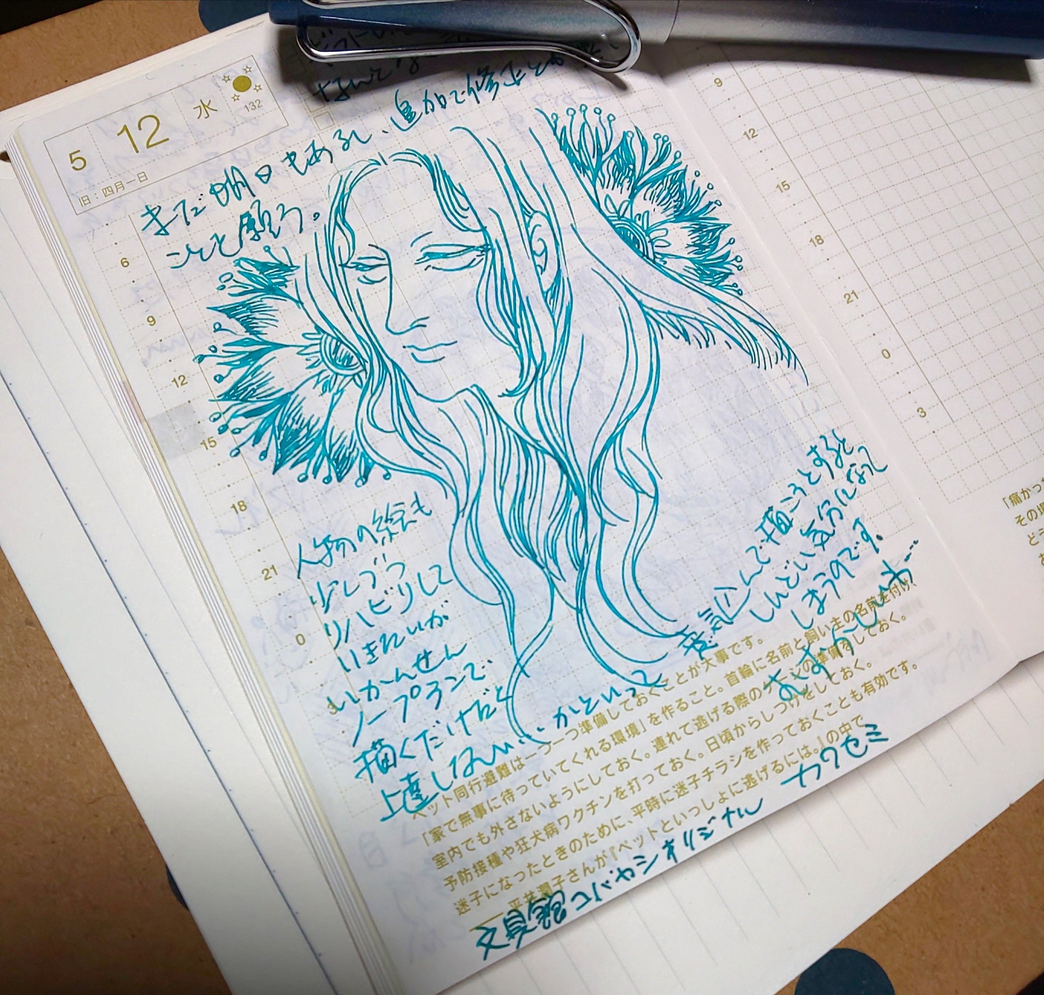 Luka H 仕事が忙しいからこそやる気になることもある 毎日続けたい細々自己満お絵描き 私にとっての心の毒抜きなのさ 万年筆お絵描き ほぼ日手帳 ゆるゆる日記 ペン画を流してペン画民を増やそう T Co Wfwzaiwsew Twitter