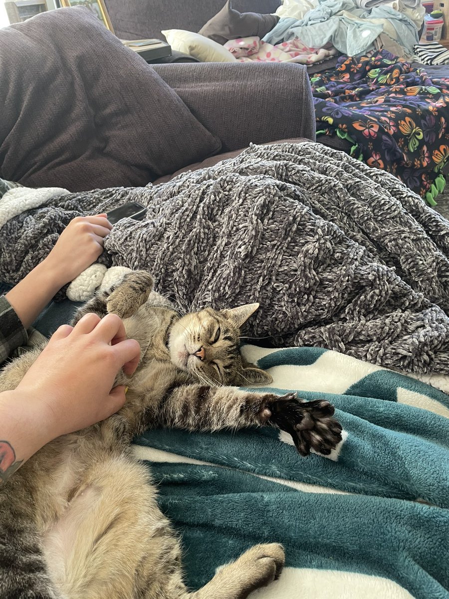 raychul_11's tweet image. do not want to work just want to be here :)