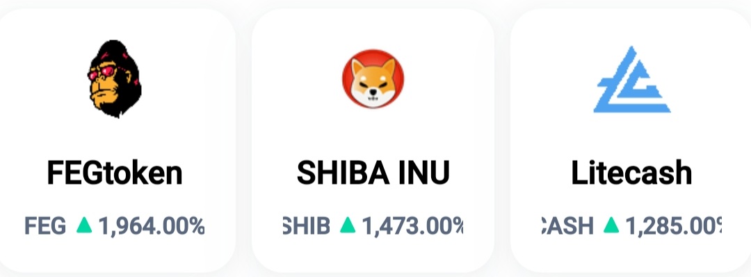 trademarkross's tweet photo. Who would still trade NYSE, S&P500 if these shitcoins are kicking exponential mooning profits? #shibainu #FEGtoken #litecash #pigtoken #australianshepherd #kishuinu #etherbone #HOKKAIDOINU #coshiinu #AKITAINU #jbx #dogelon https://t.co/c3h2KF5yTD