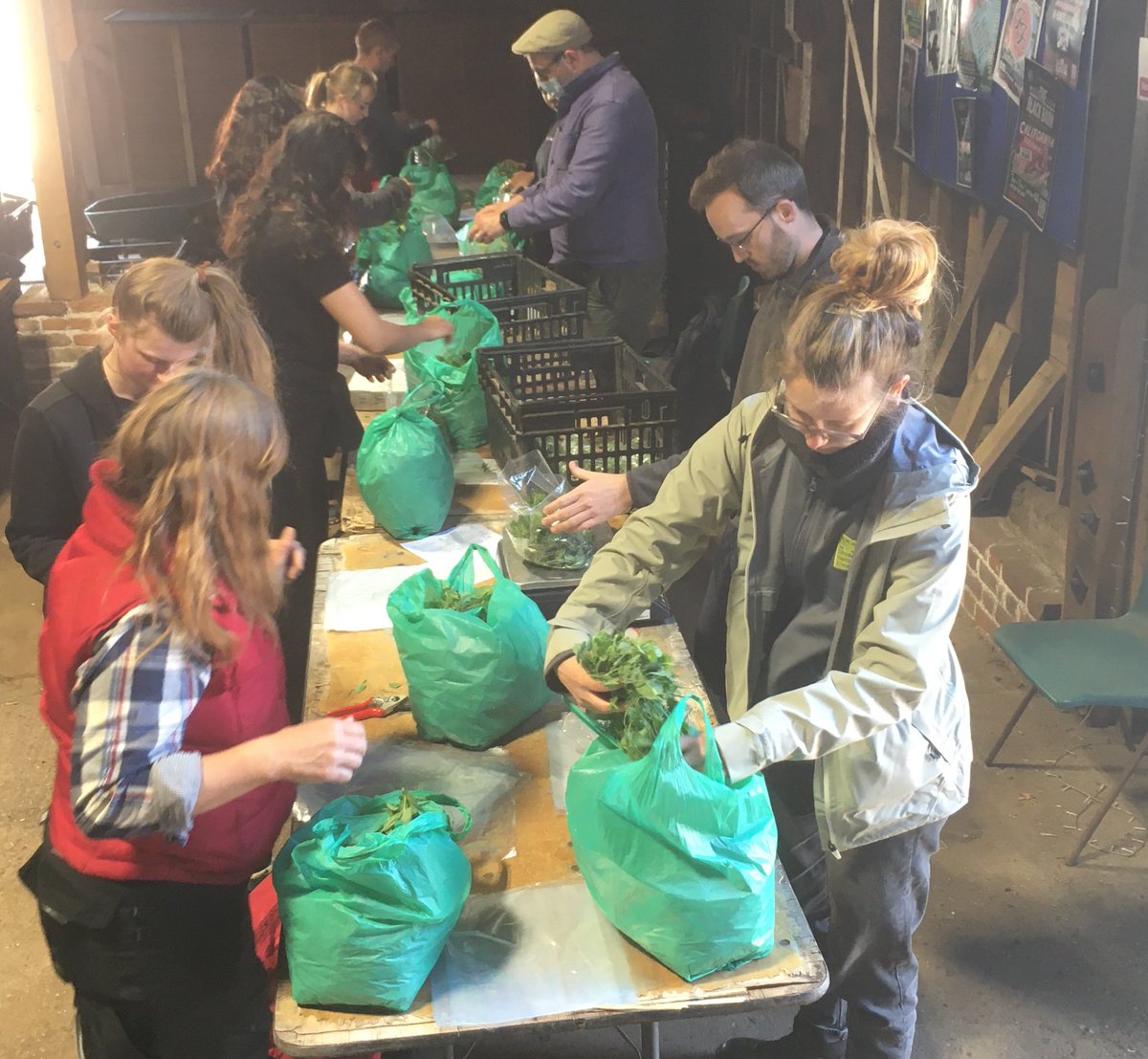 Top work from our L3 hort students who successfully planted, weeded, harvested and packed all the pea shoots going into this week’s veg bags, as part of their crop production module. If you would also like to taste their success, grab a bag from <a href="/fortyhallfarm/">Forty Hall Farm</a> shop this weekend!