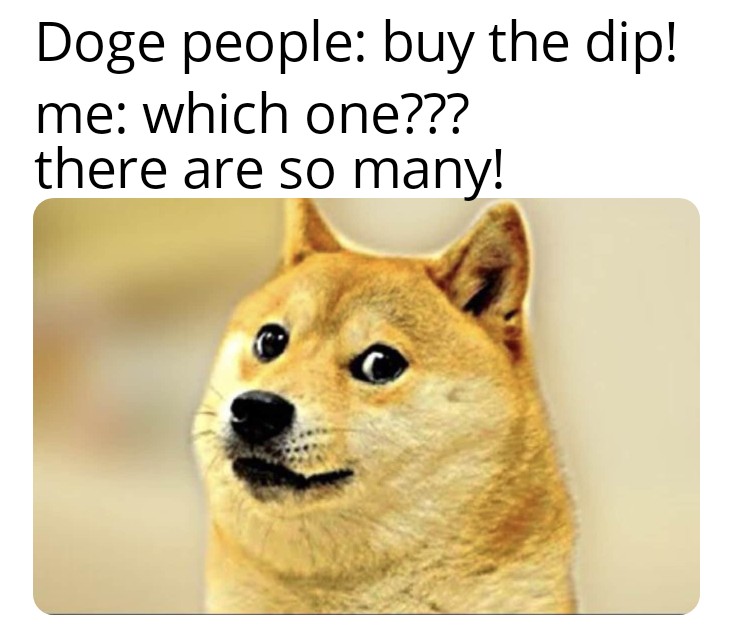 ray_verbeck's tweet photo. #doge #dogetothemoon #buythedip
#DogecoinRise https://t.co/61aUxBSByz