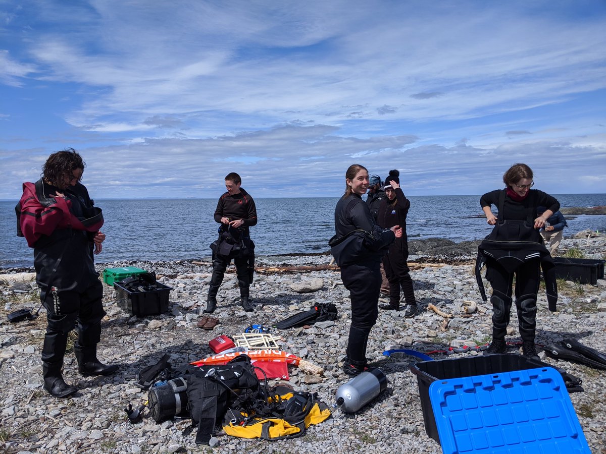 I finally got back in the water as part of a scientific diving training with divers from <a href="/universitelaval/">Université Laval</a> and @UQAR-ISMER. The water conditions were a little harsh (2°C, 1m visibility), but after all, it was just part of the fun🙃<a href="/marine_kathleen/">Kathleen MacGregor</a> @filippof3rrario