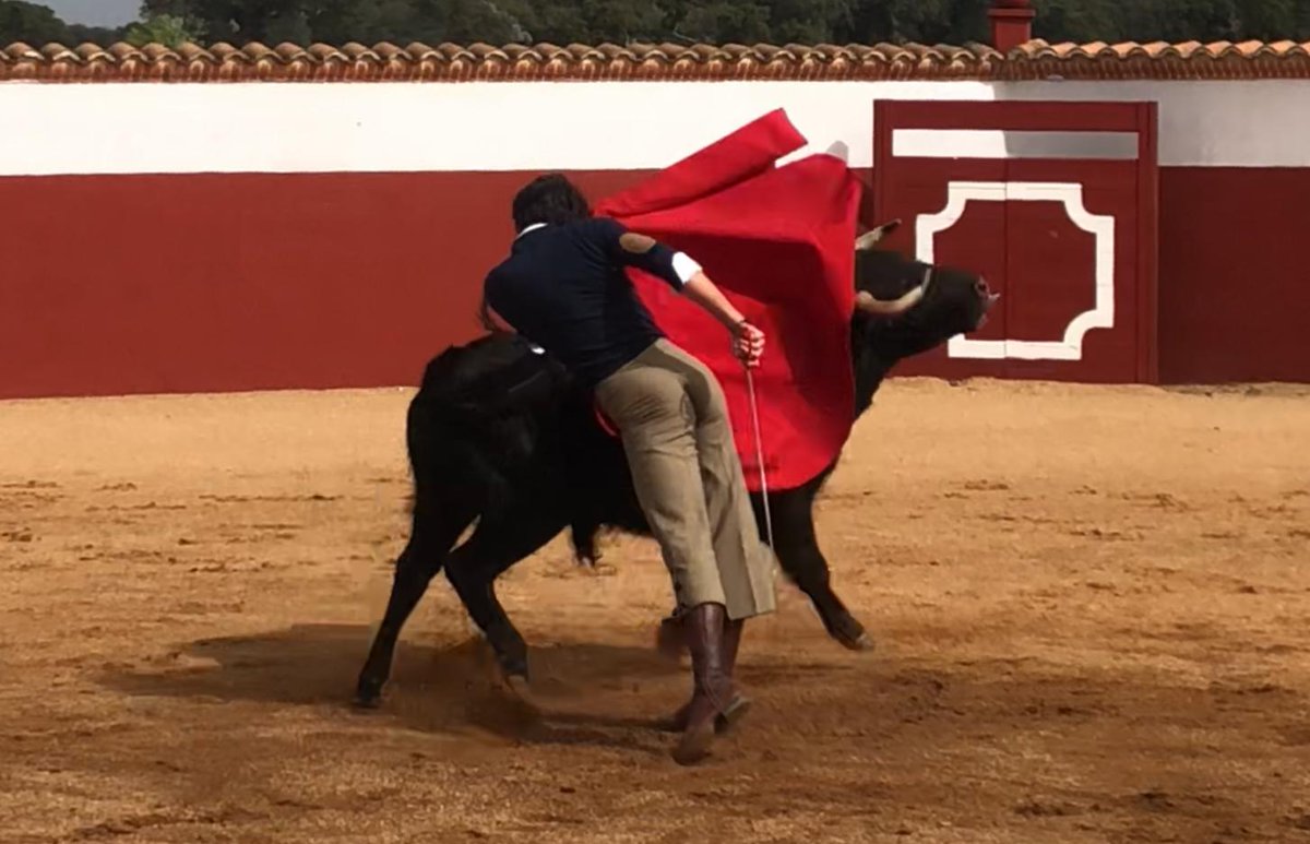cultorocom's tweet photo. ENTREVISTA- Antonio Grande: “Sólo tengo en la cabeza la tarde del lunes en Vistalegre: por ella me levanto, lucho y derrocho esfuerzo" 

https://t.co/FBQ8TIMYsM https://t.co/6PBF2Q79t1