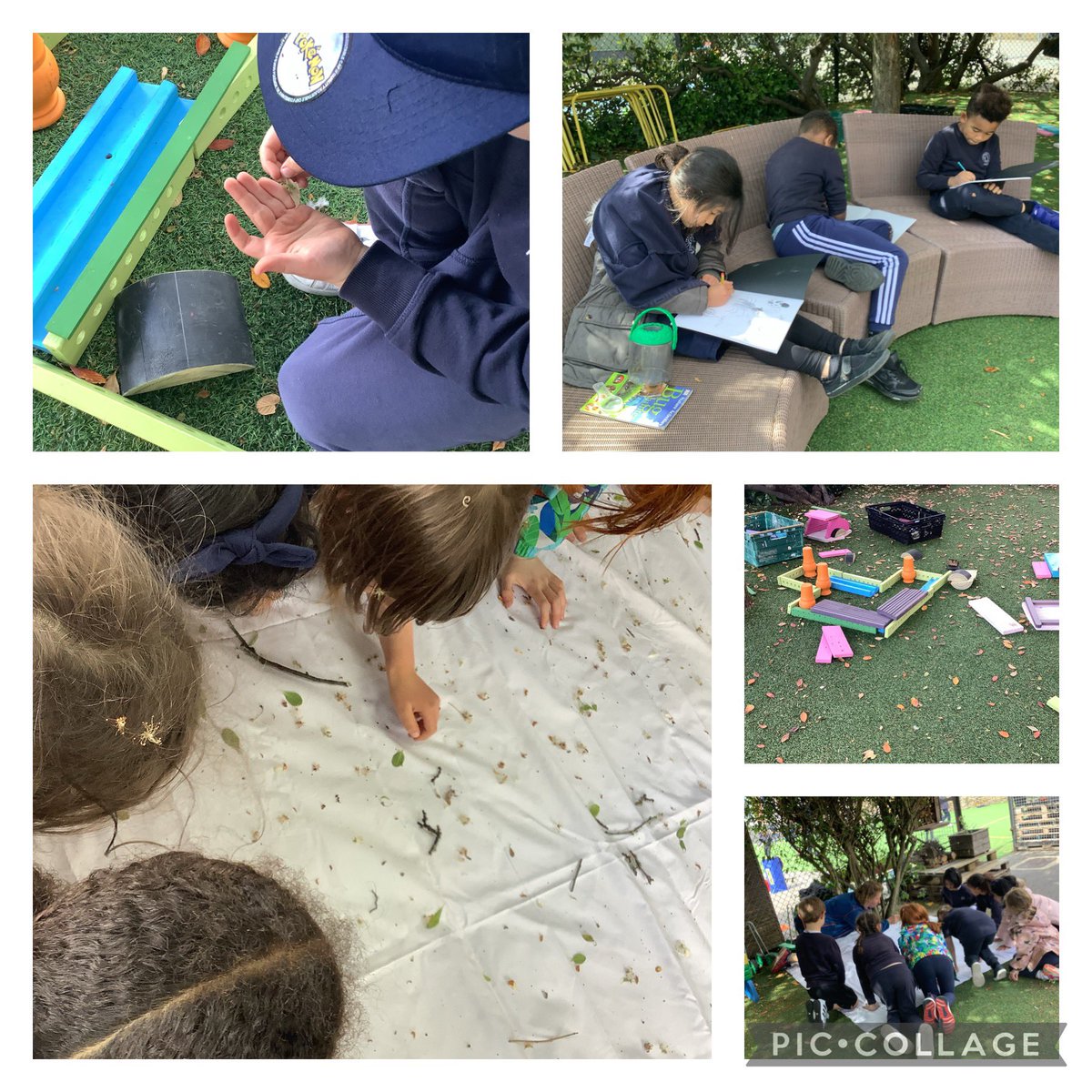 Y2@fircroft.family (@y2_fircroft) on Twitter photo From #treeshaking to #sketching. We had a wonderful afternoon in our beautiful Garden Hub discovering minibeasts. <a href="/fircroftSW17/">Fircroft Primary</a> <a href="/thinkoutsideUK/">think outside</a> From #treeshaking to #sketching. We had a wonderful afternoon in our beautiful Garden Hub discovering minibeasts. <a href="/fircroftSW17/">Fircroft Primary</a> <a href="/thinkoutsideUK/">think outside</a>