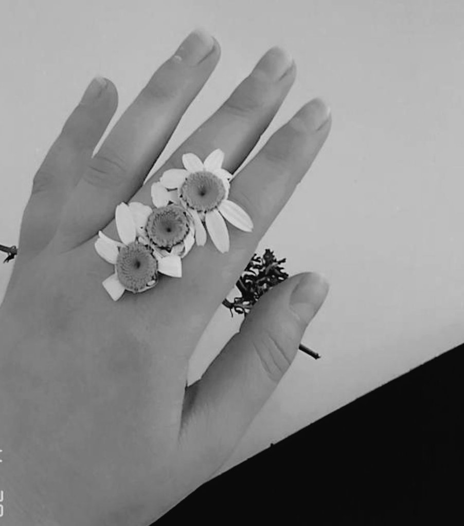 eyt zuhal s tweet annesiz babasiz