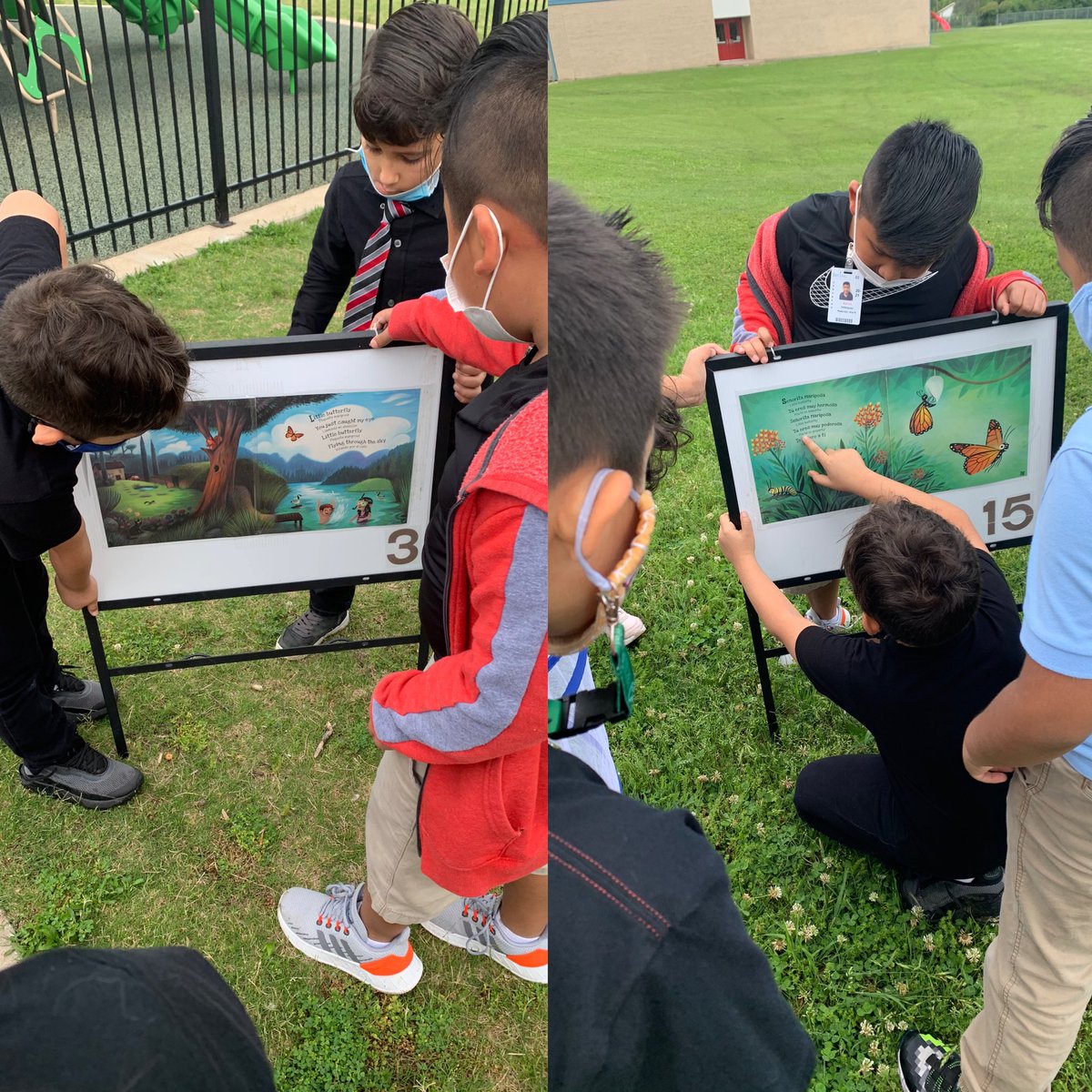 Llamateach2nd's tweet photo. We had a butterfly release party, which included reading about their journey after we said goodbye! They loved it! There might have been spring-themed cupcakes too. 🦋 #bookwalk #asjgamechangers @ASJLibrary https://t.co/PFYjApGXMW