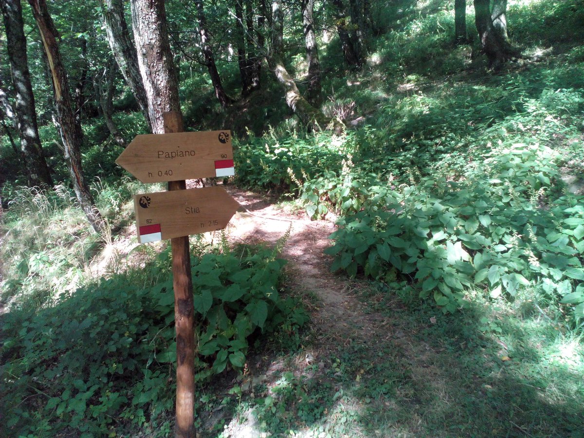 VecchieVie's tweet photo. Trekking alle pendici del Monte Falterona, versante aretino. Alla scoperta del Lago degli idoli .
https://t.co/yQEf4RZa3Z https://t.co/knqUXWisJ8