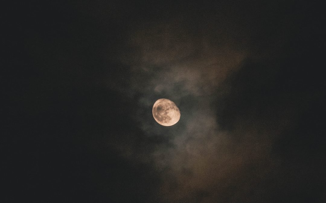 Pedro Ferriz de Con tweet media