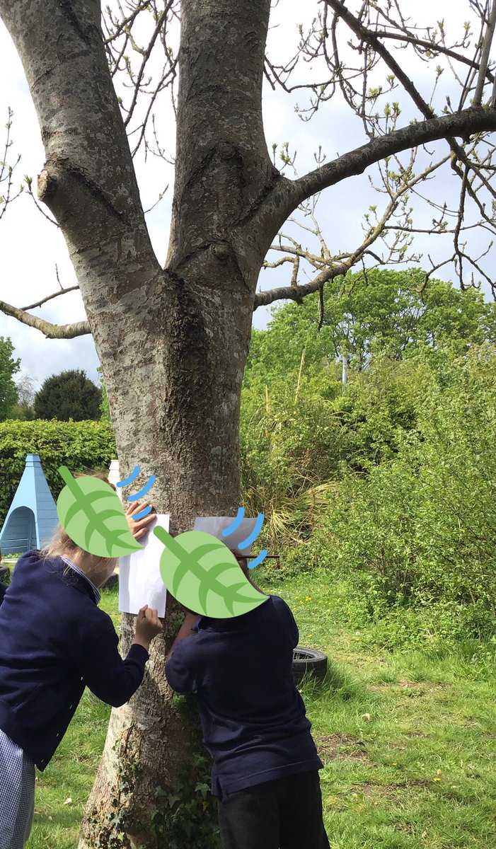 ChilternY2's tweet photo. Today, we observed some of the trees and other plants in our outdoor area and learned about their life cycle. https://t.co/lsVPzdb9N8